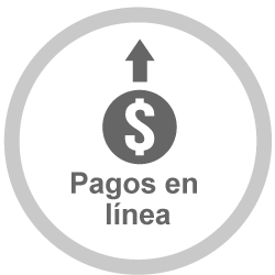 Pago en linea